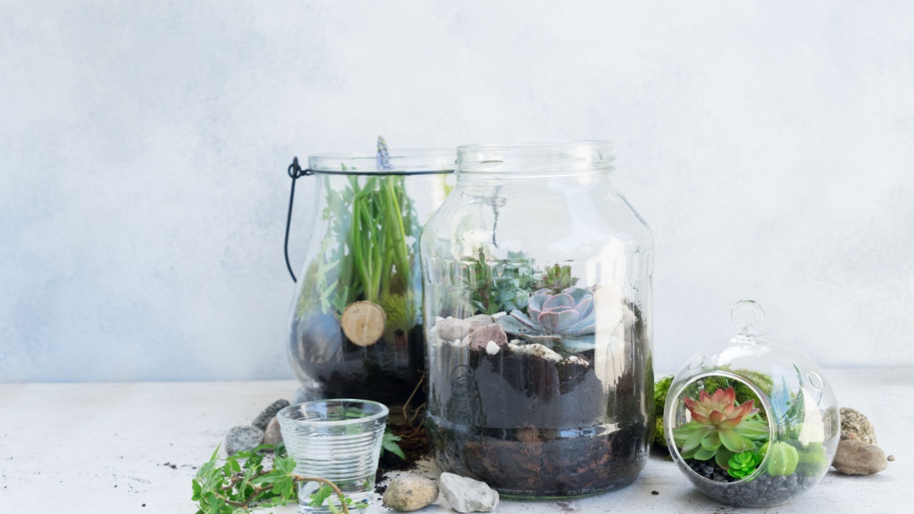 garden inside mason jar