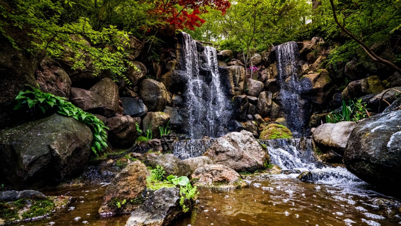 This photo was taken at Anderson Japanese garden in Rockford Illinois. 