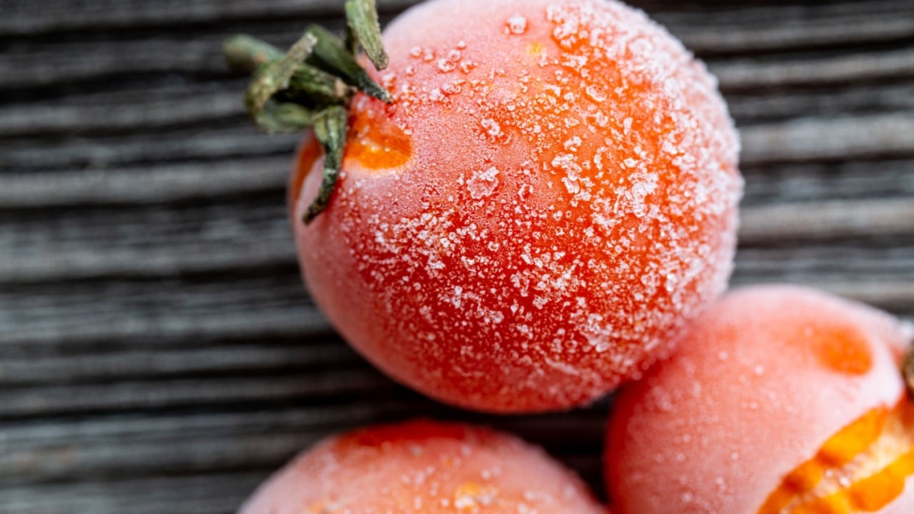 frozen cherry tomatoes on wood background, top view, macro