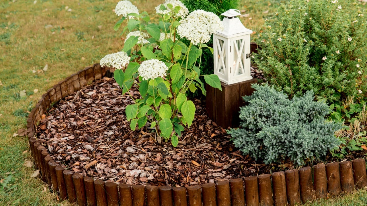 Round flower bed covered by pine bark mulch and surrounded by brown weatherproofed wood roll boarder palisade on bed are multiple different plants outdoors in summer, lantern on wooden base.
