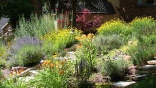 xeriscape garden, flowers and foliage, beautiful in summer