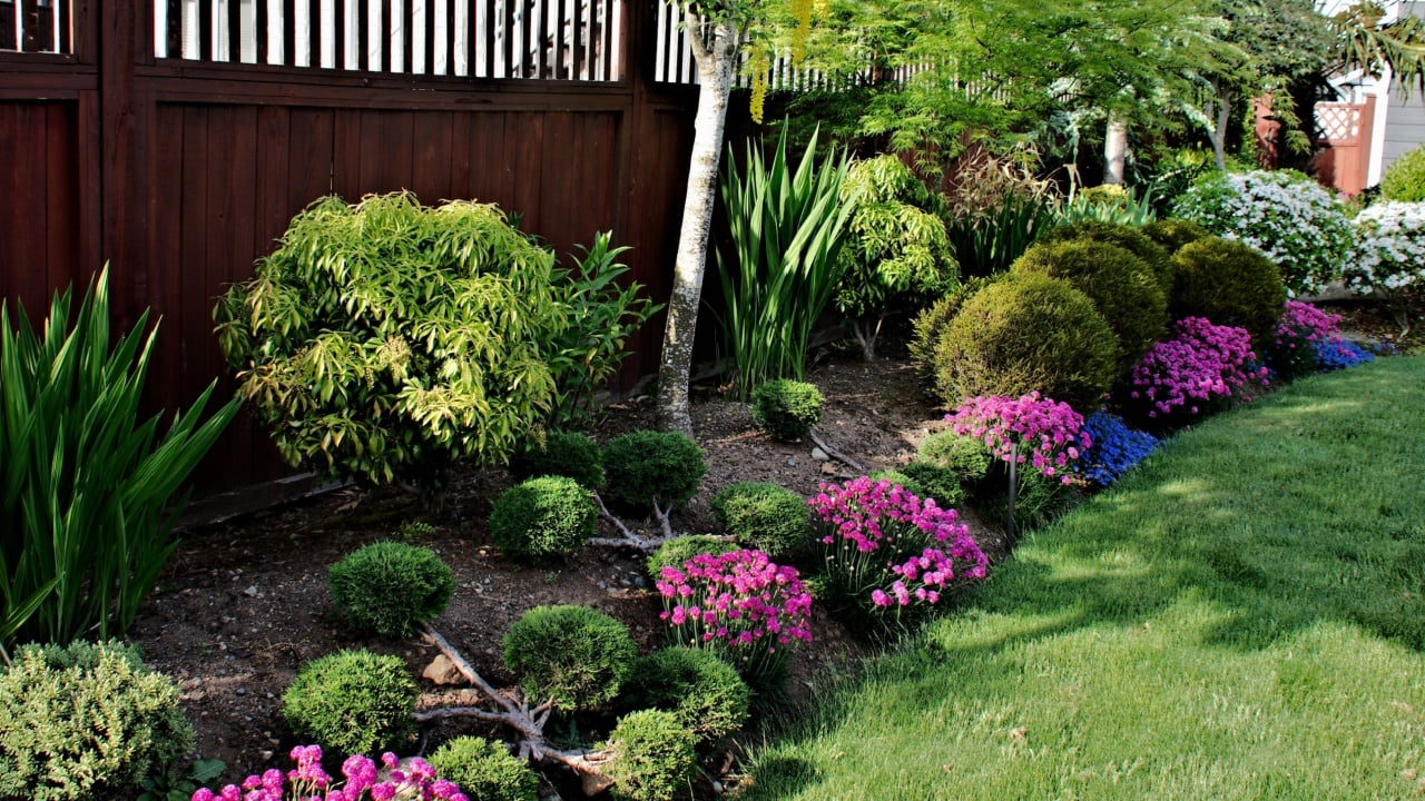 landscape design flowerbed border plants shrubs trees green lawn garden landscape backyard