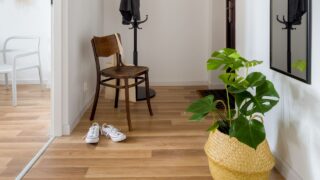 Cozy entry room with wooden floor and decorative plant in pot basket