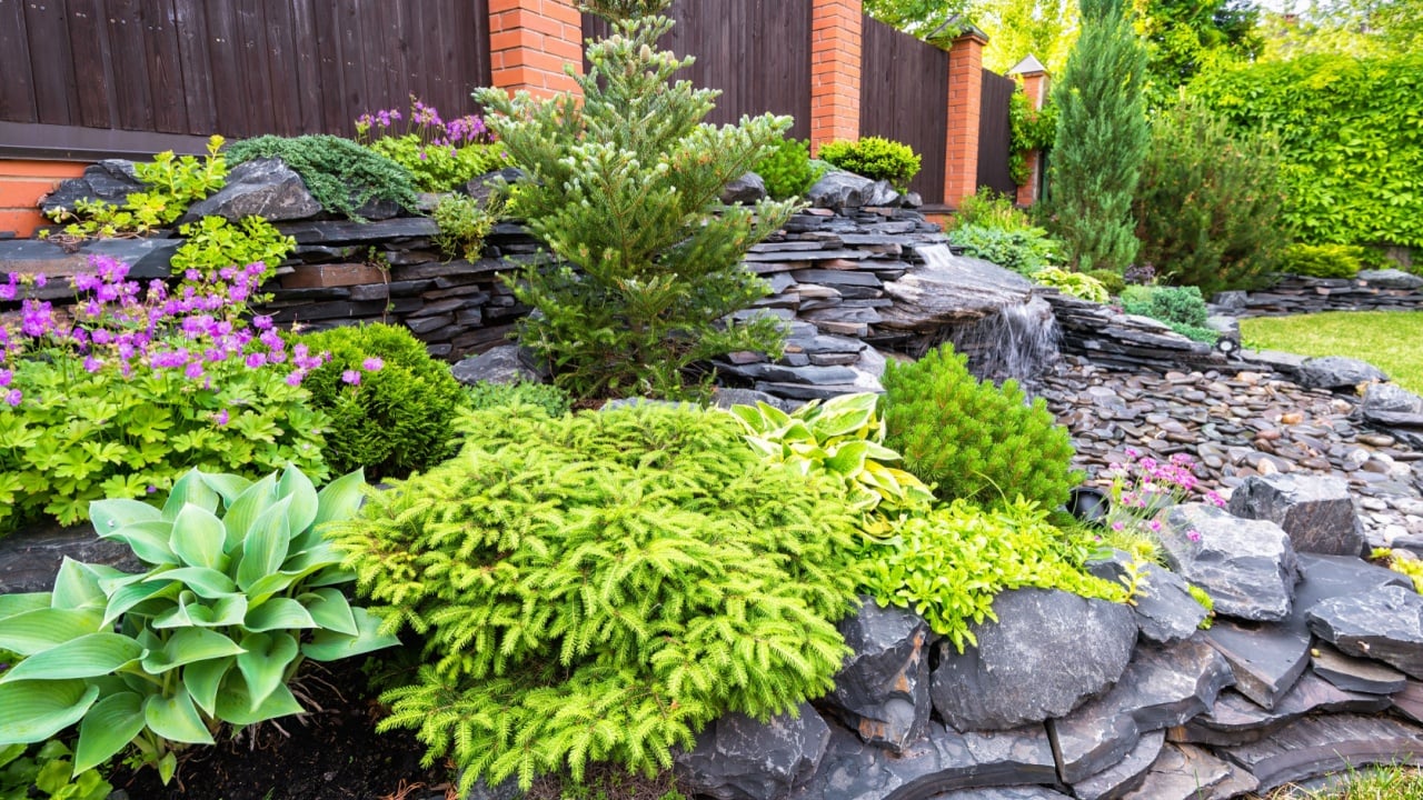 Landscape design in home garden close-up, beautiful landscaped garden with plants, bush, rocks and small fountain. Nice landscaping of residential house backyard in summer. Nature and stones theme.