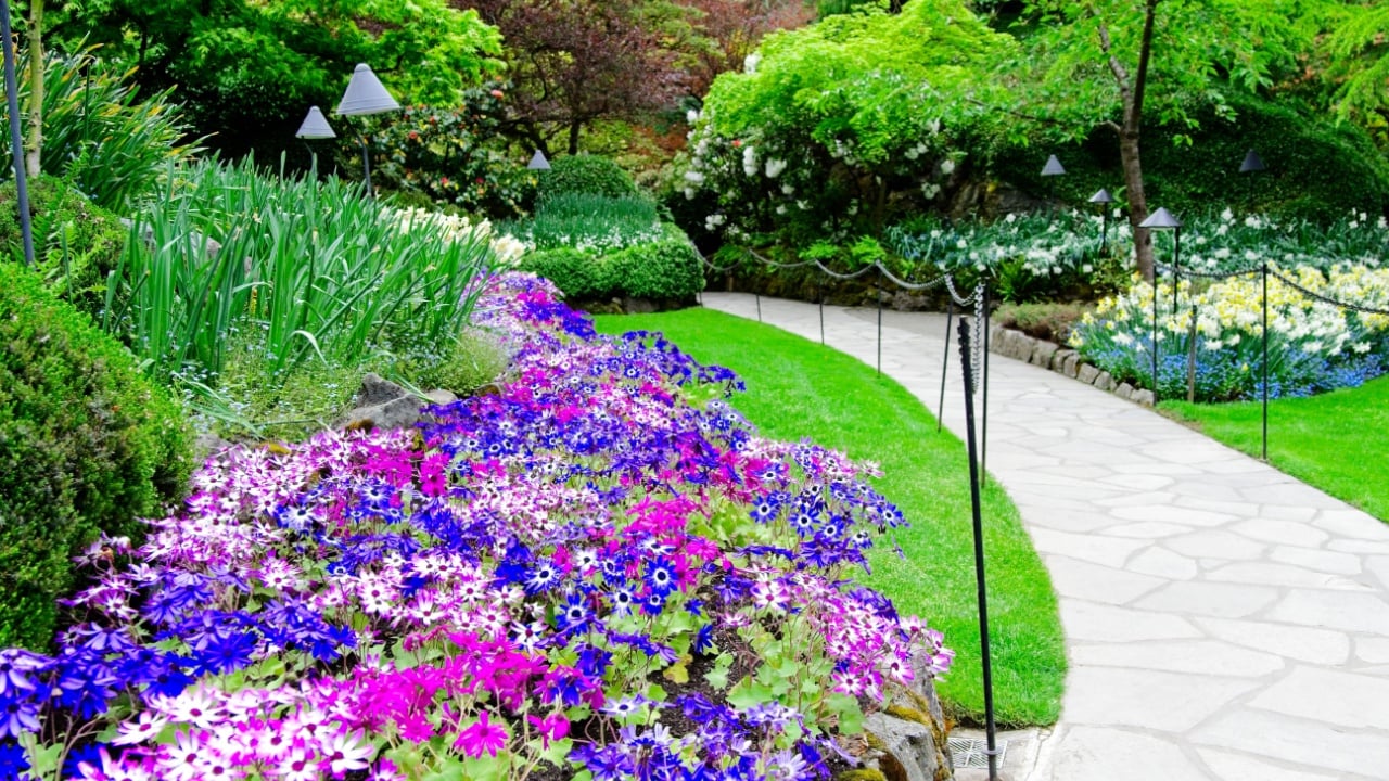 Lush springtime garden with lawns, tulips, and walkways between flower beds
