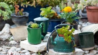 Reused planter ideas. Second-hand kettles, saucepans, old teapots turn into garden flower pots. Recycled garden design and low-waste lifestyle.