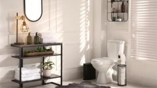 Modern toilet bowl in comfortable restroom. Interior design