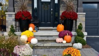 Colourful pumpkins, gourds and mums create a luxury halloween and thanksgiving landscaping decor.