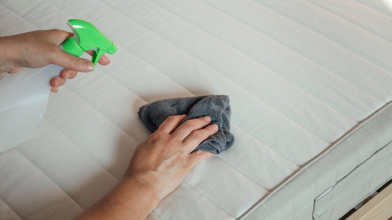 girl cleaning the mattress, cleaning concept