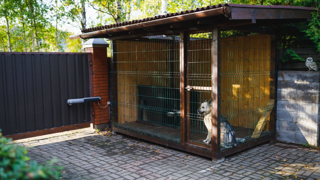 outdoor dog kennel enclosure on front yard