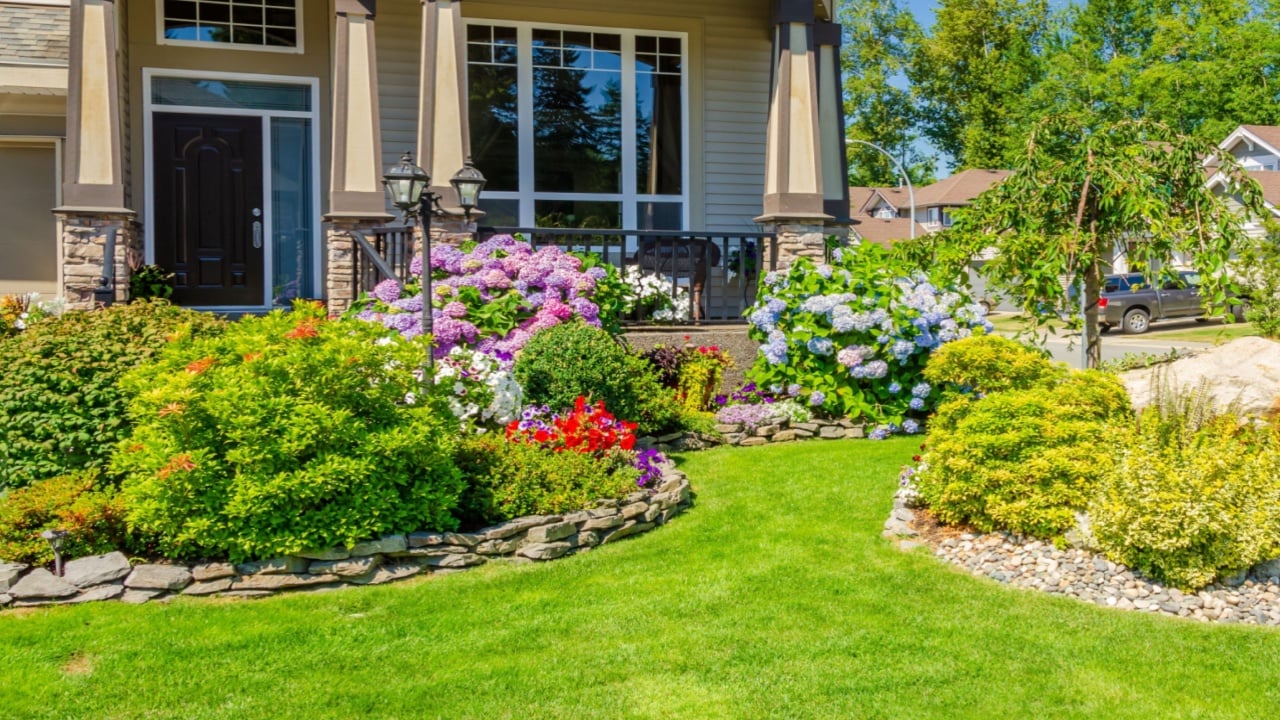 Flowers and stones in front of the house, front yard. Landscape design.