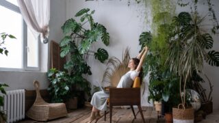 Relaxed freelancer gardener enjoy spending time in home garden with laptop buying new house plant monstera for greenhouse in home office. Florist female entrepreneur with laptop stretching and smiling