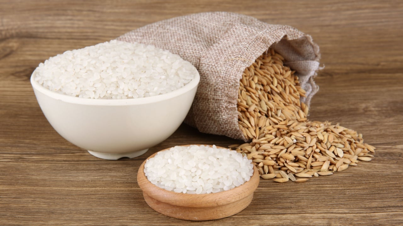 paddy rice in a bag with rice pile on the wood background