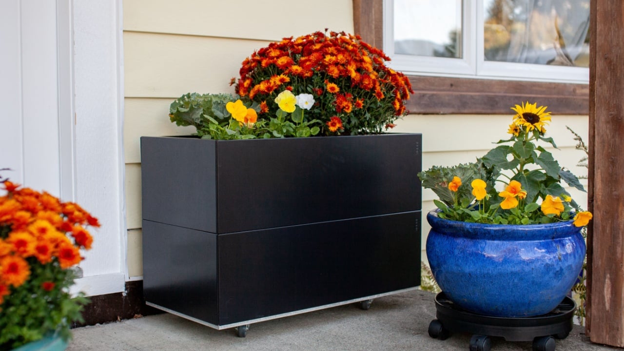 ceramic planters flowers decorate the front door stoop of a house. Planters filled with fall colors make a perfect entryway