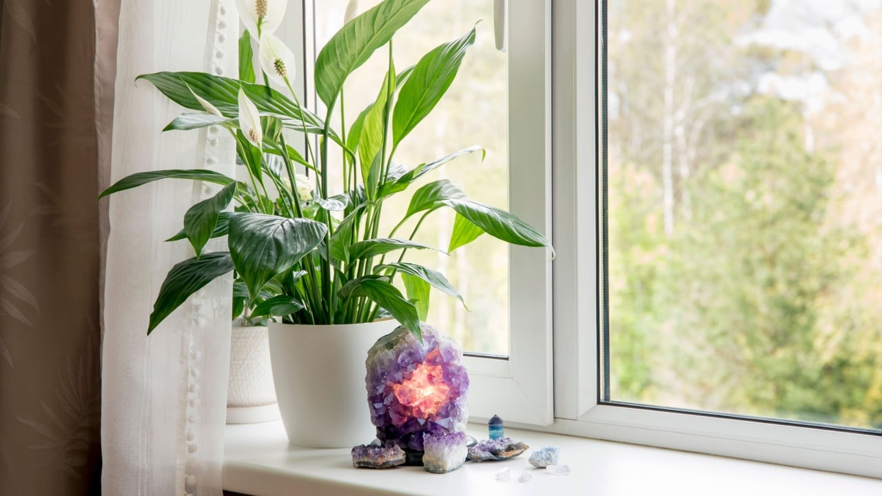 Amethyst geode lamp illuminated, spiritual calming home atmosphere. Air cleaning plant flower Spathiphyllum, spath or peace lily growing on window sill.