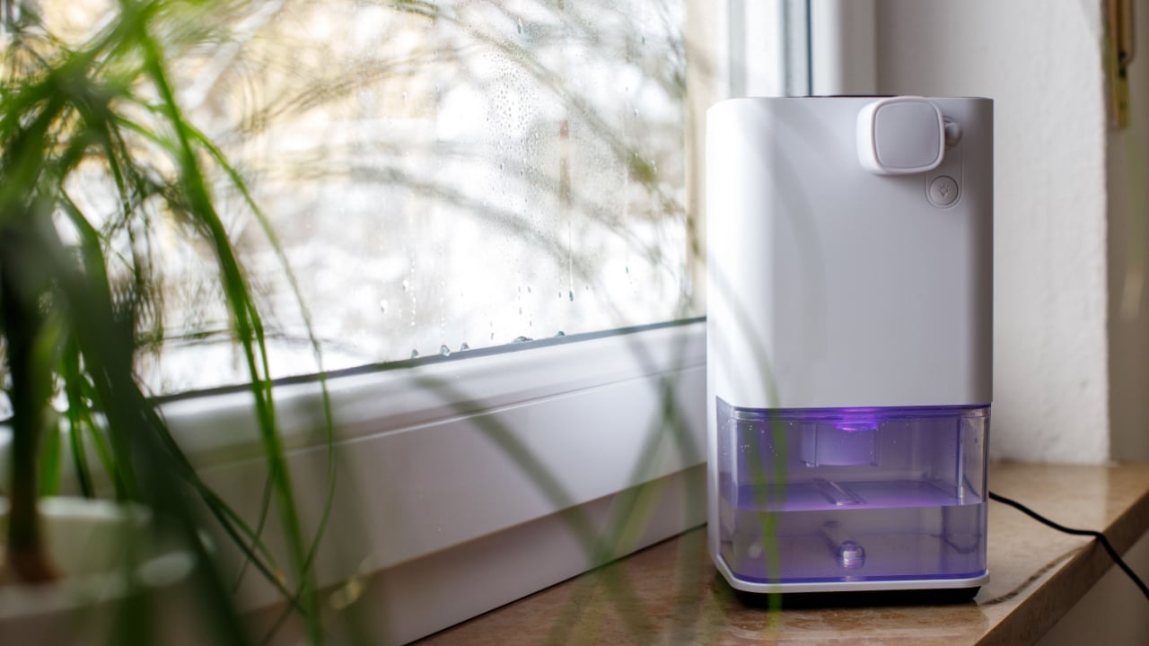 Dehumidifier Moisture Absorber Household Small Indoor