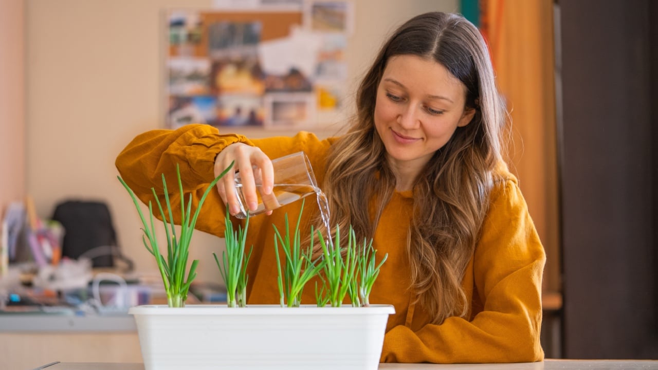 Woman gently waters her indoor garden of green onions, reflecting blend of home life and care for sustainable living, in her well-lit home office.