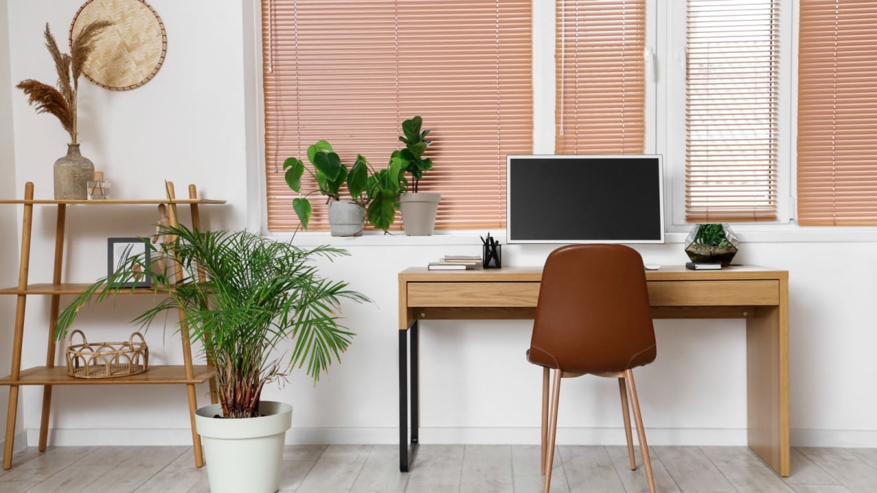 Interior of office with workplace, shelf unit and green houseplants