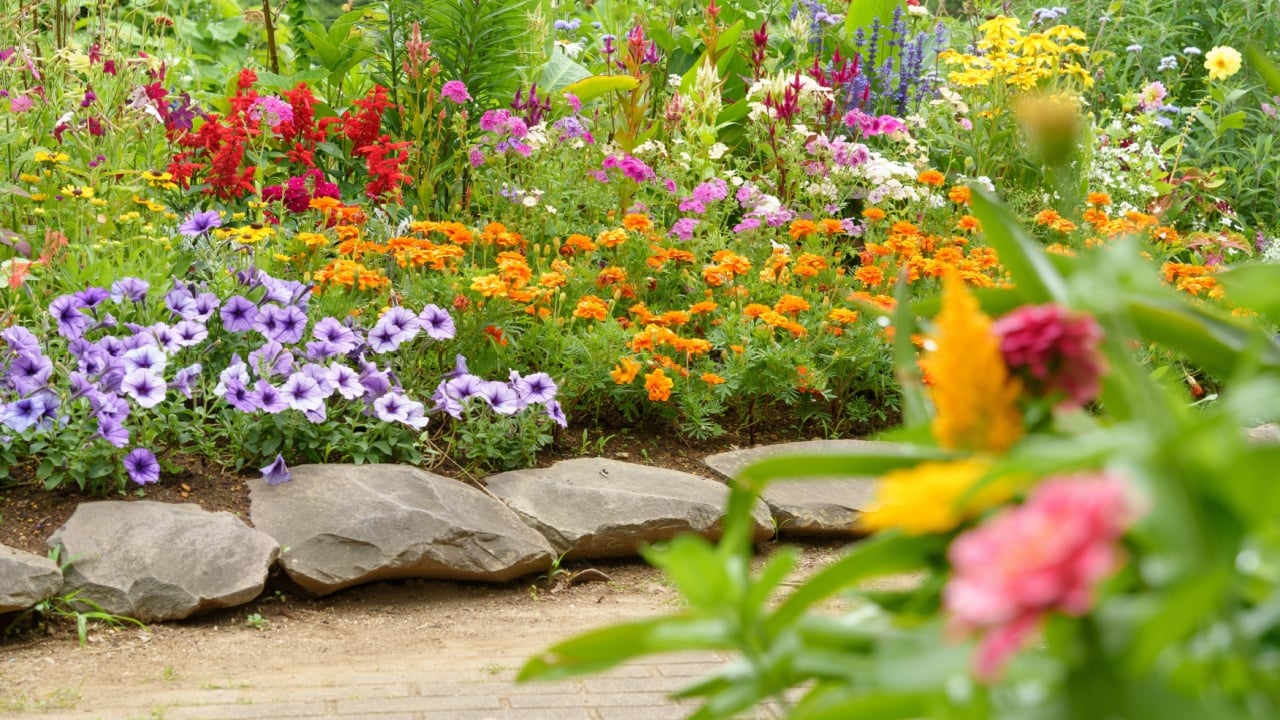 Flower beds in the English Garden with a variety of colorful flowers