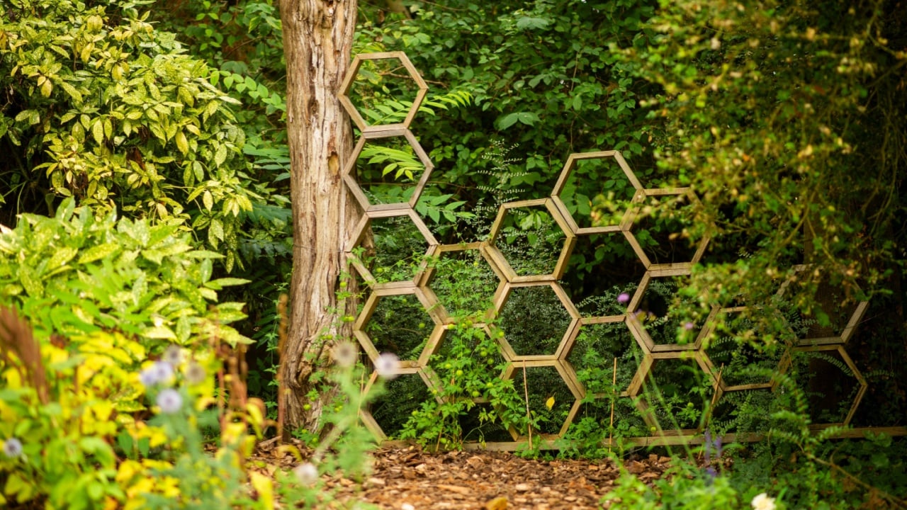 Wooden Hexagonal Garden Trellis in Lush Greenery with Vibrant Foliage and Flowers.