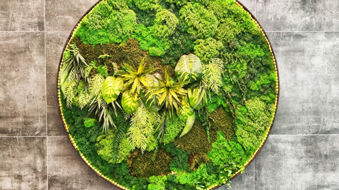 Circular moss wall art displays various shades of green in a textured arrangement, creating a serene atmosphere for modern spaces.