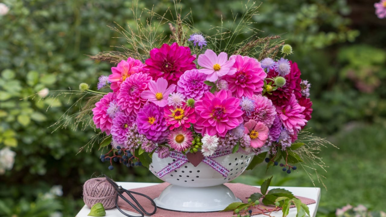 flower arrangement with pink dahlias, cosmos, zinnias, scabious and grasses in a vintage colander