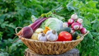 Fresh Organic Vegetables in Basket.