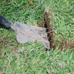 slice grass with a straight spade