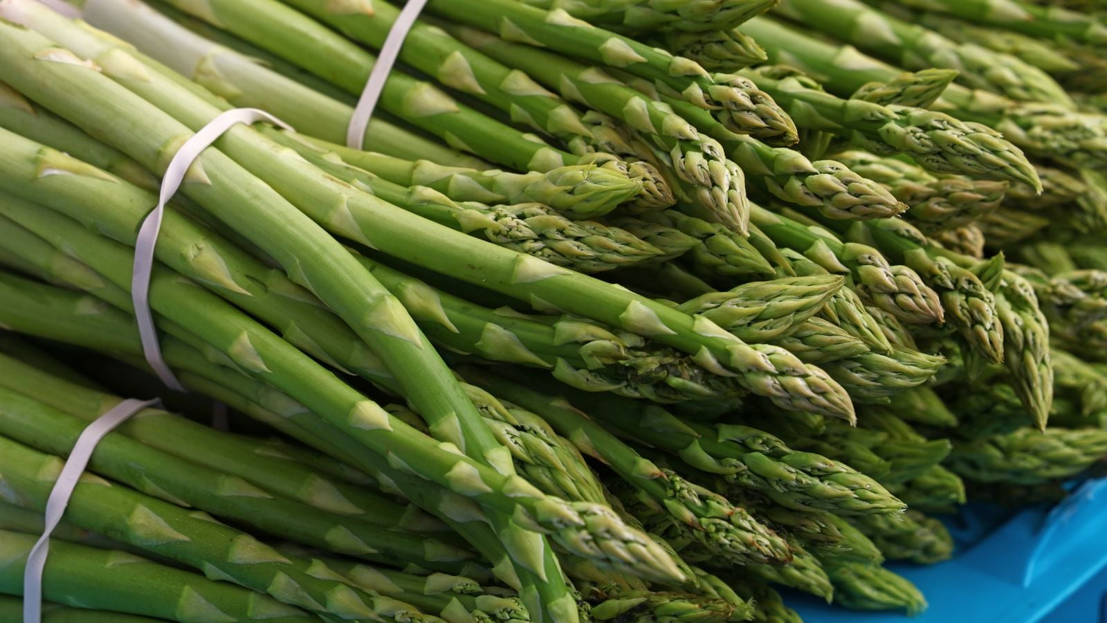 store-bought asparagus bunches.