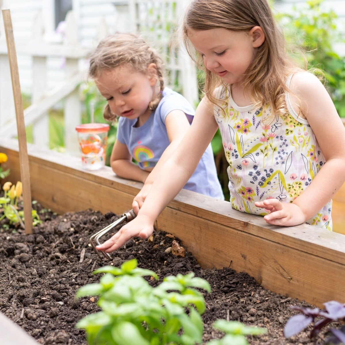 Two happy little girls digging in a raised bed garden 1200