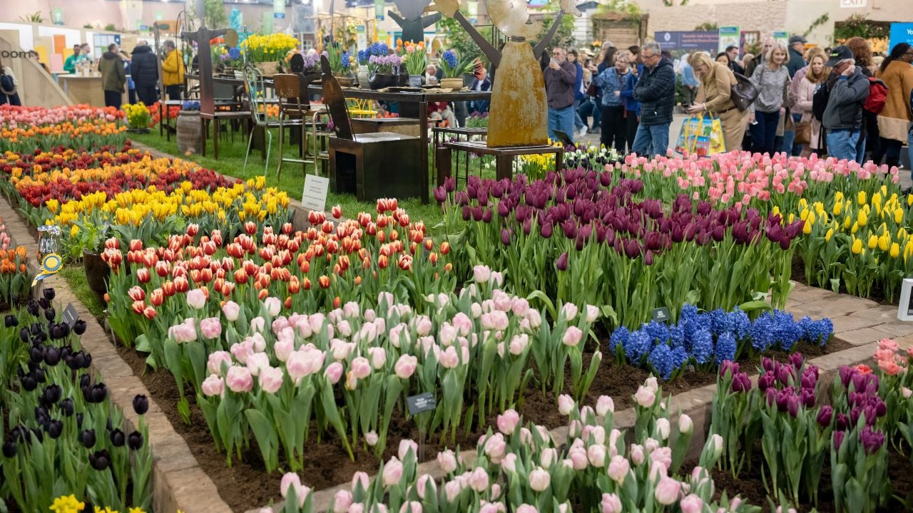 Philadelphia, PA/USA-Feb 29, 2020: The 2020 PHS Philadelphia Flower Show, &ldquo;Riviera Holiday,&rdquo; at the Pennsylvania Convention Center. The event continues through March 8