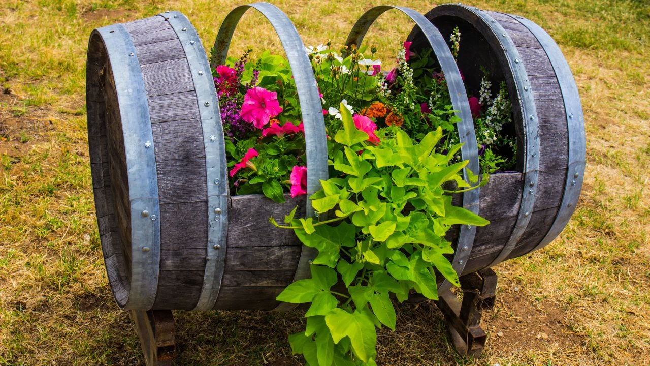 Wine Barrel Used As Planter Box