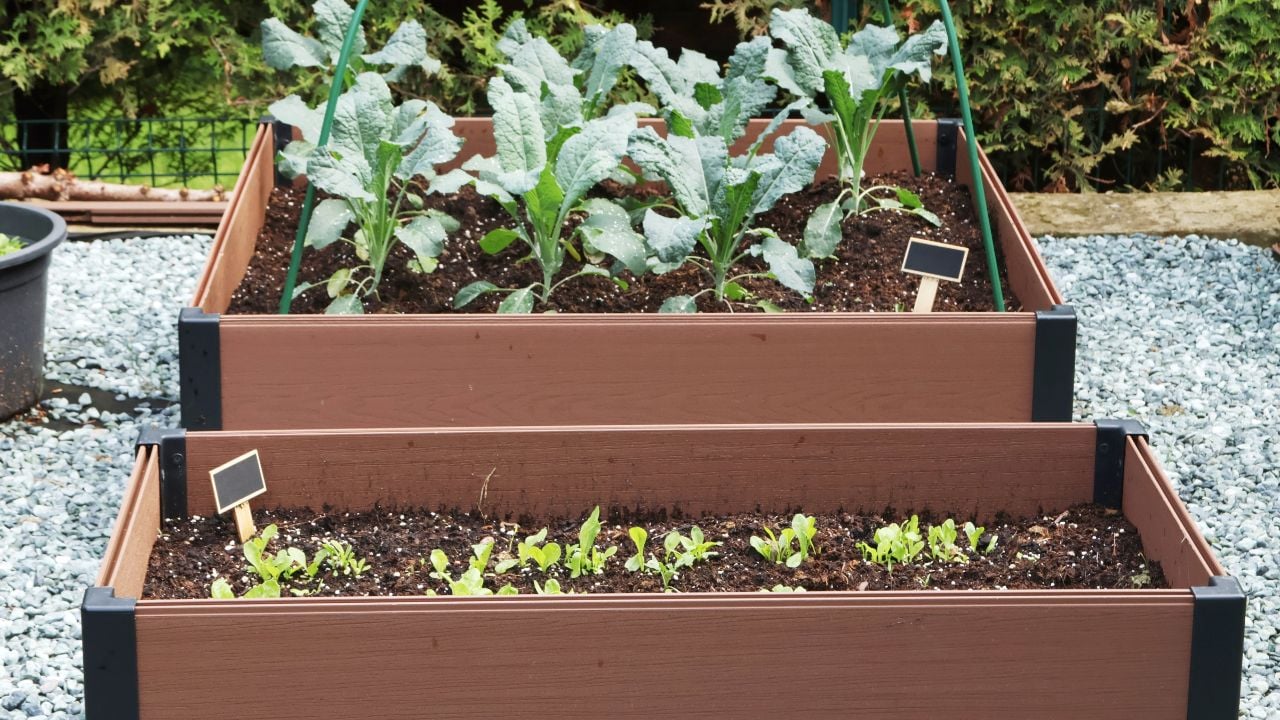 Plastic raised garden bed