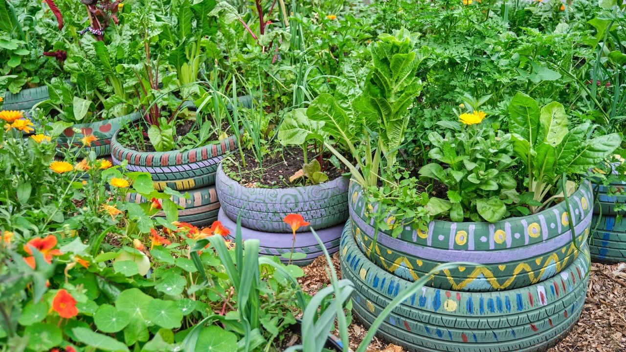 Raised Garden Bed made from Old Tires