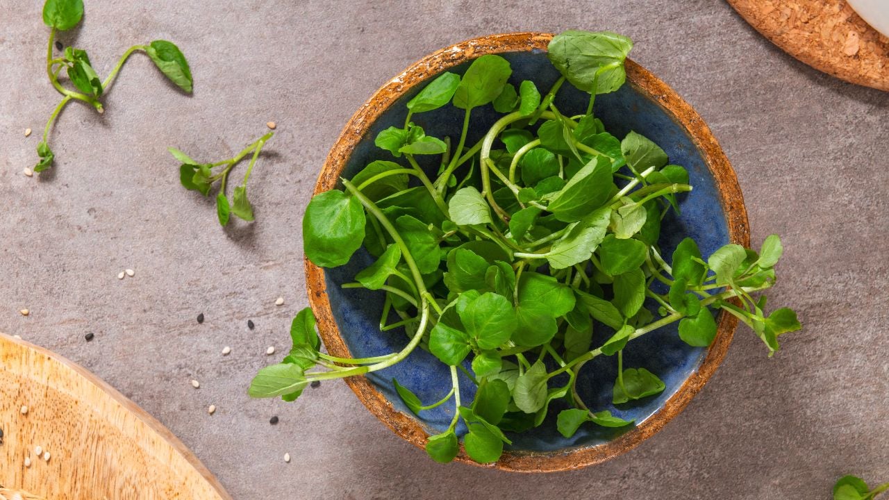 Raw Green Organic Watercress in a Bow, top view.