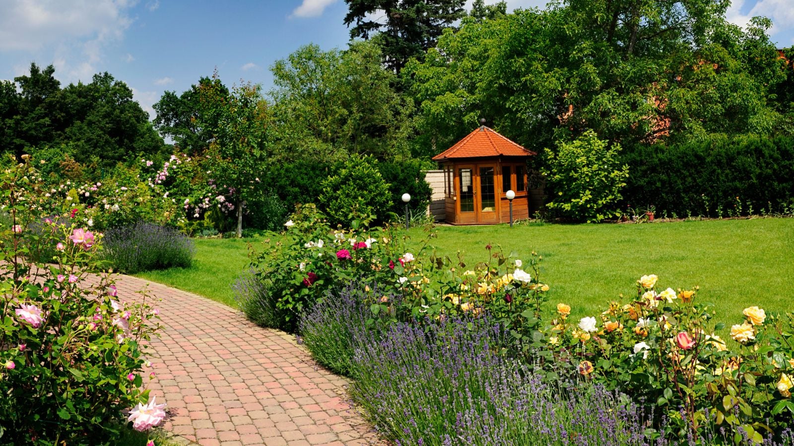 walkway next to lavender and roses, with a wooden gazebo in the background.