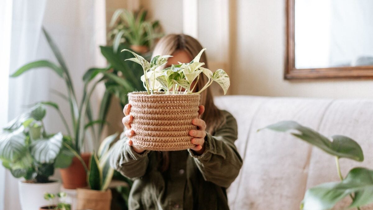 woman holding a potted pothos.