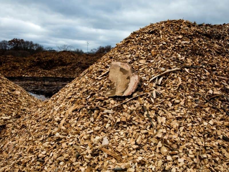 a pile of wood chips