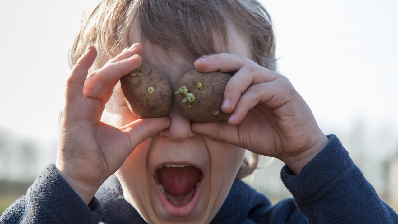 shocked boy having fun with sprouted potatoes