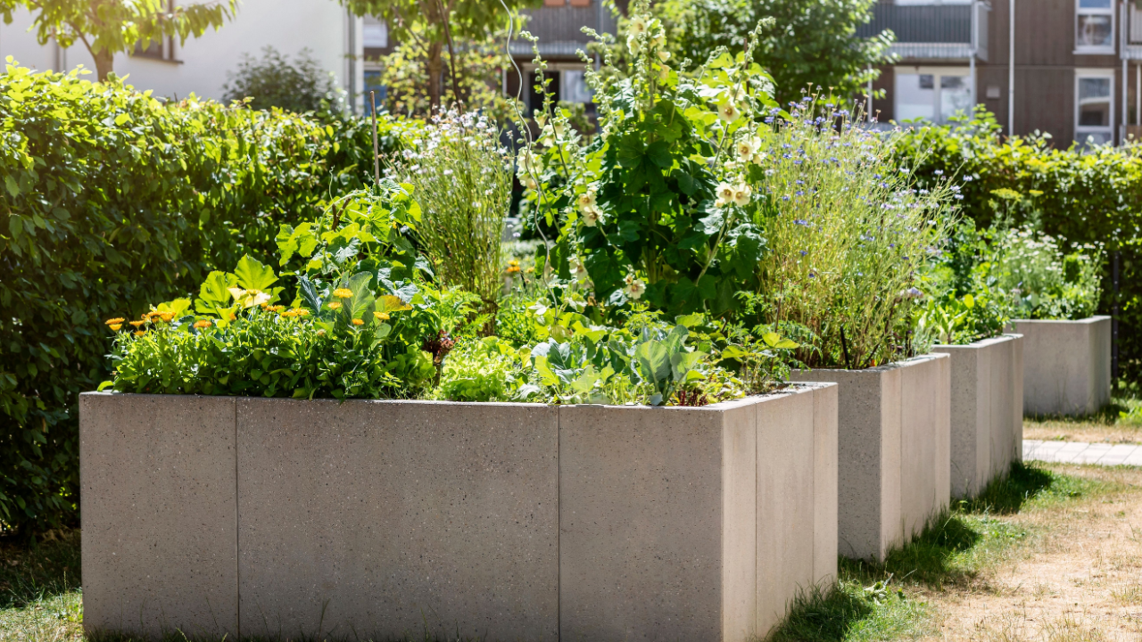garden bed concrete cinder block