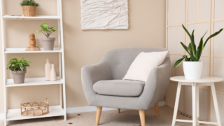 Interior of living room with comfortable armchair, coffee table and houseplant snake plant