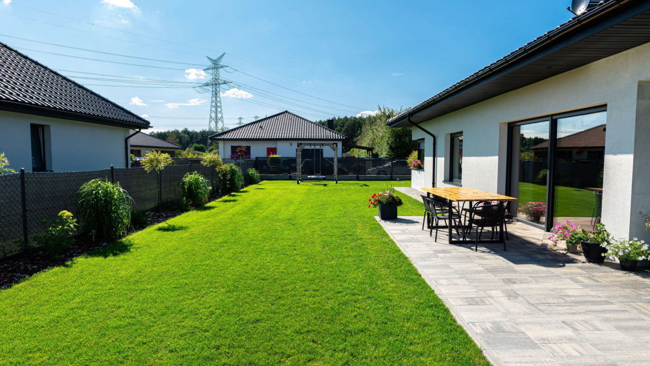 backyard green lawn grass patio