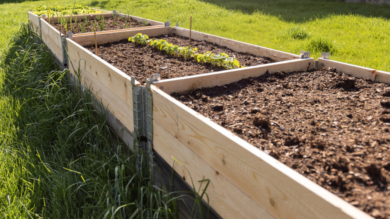 raised wooden garden beds boxes